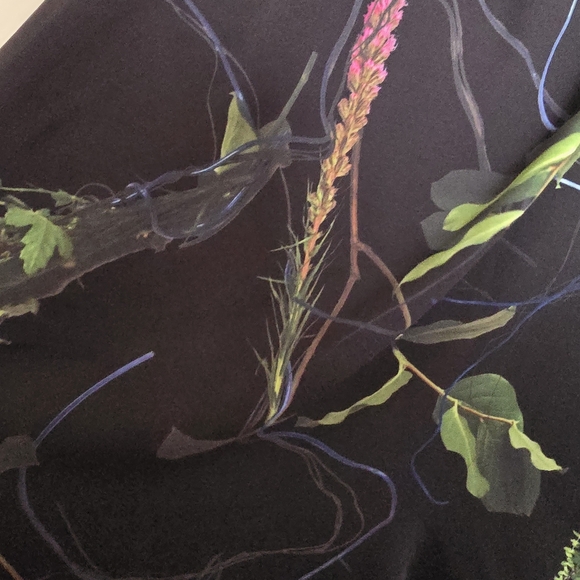 Babaton Black Wrap Dress with Floral Design - Picture 6 of 7